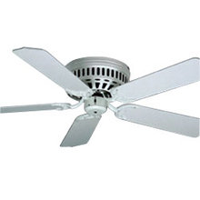 Paddle Fans-Clearance