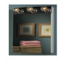 NuTone 565 Single-Door Surface Mount Cabinets